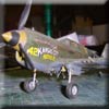 P-40N Warhawk 1/48